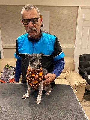 Dasher - Dasher received a full groom and was so happy after! Dasher - Dasher received a full groom and was so happy after!