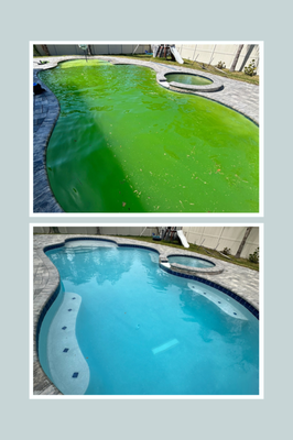 Green to Clean - This green pool was neglected for a long duration of time while the new homeowner had been moving in. The home-owner gave us a call and within the week we were there and had the pool swim-ready in just 3 visits! Call now at 904-364-0028 and let's get you back swimming in a clean pool! Green to Clean - This green pool was neglected for a long duration of time while the new homeowner had been moving in. The home-owner gave us a call and within the week we were there and had the pool swim-ready in just 3 visits! Call now at 904-364-0028 and let's get you back swimming in a clean pool!