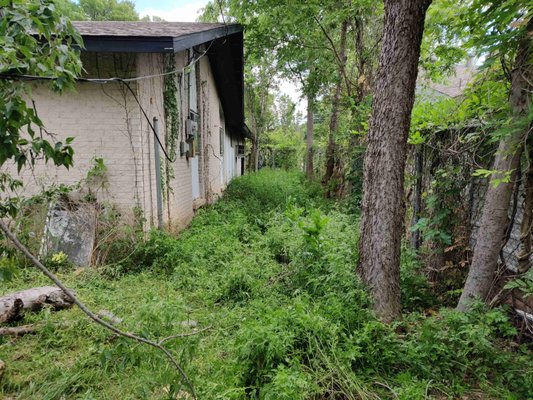 SUPER CLEAN UP - Tackling overgrown vegetation and bringing back order with our Super Clean Up services! 🌿✨ Whether it's a backyard jungle or an abandoned lot, we have the expertise to restore your property to pristine condition. Contact us today for a cleaner, safer, and more beautiful outdoor space! 📞 SUPER CLEAN UP - Tackling overgrown vegetation and bringing back order with our Super Clean Up services! 🌿✨ Whether it's a backyard jungle or an abandoned lot, we have the expertise to restore your property to pristine condition. Contact us today for a cleaner, safer, and more beautiful outdoor space! 📞