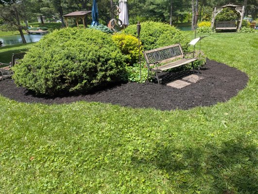 Large Mulching Job - This is a mulching & weed removal job we did in the beginning of June.