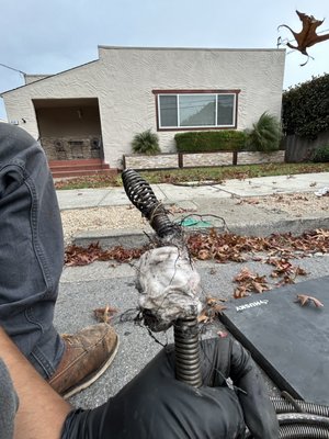 Sunday emergency service—hydro-jetted and camera-inspected sewer line to clear roots and restore full flow. Verified full flow! - Sunday Emergency Sewer Stoppage in San Francisco

Heise’s Plumbing responded to a Sunday emergency call from a property manager in Burlingame for a major sewer stoppage causing backups in the building.

Our technician discovered the main sewer line was heavily infiltrated with roots, making it very tough to clear. We snaked and restored flow, then camera-inspected the sewer line to verify we cleared the blockage.

We recommended a follow-up hydro-jetting service to fully remove remaining roots and debris for long-term protection and prevent another emergency backup.

Fast response ensured plumbing was restored and the property remained operational.

💧 Heise’s Plumbing – Trusted Since 1954
Emergency Sewer Service | Root Removal | Camer