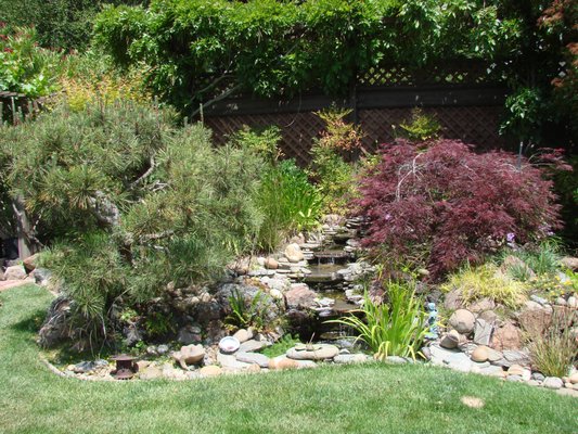 Landscape and tree job - This is some of the work we did at my Dads house Lew Edwards