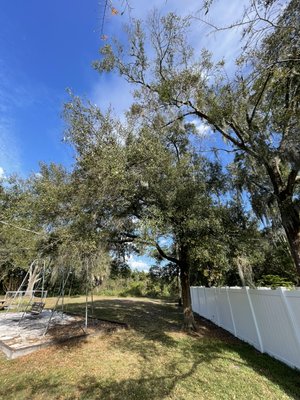 Tree removal - This job was technical because we had to work around the power lines, brand new fence & a swing set. As usual we took the tree down safely & efficiently. Tree removal - This job was technical because we had to work around the power lines, brand new fence & a swing set. As usual we took the tree down safely & efficiently.