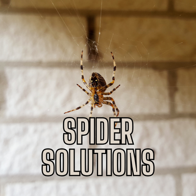 🕷️ Spiders in the Basement? Call Dan for a Thoughtful, Thorough Fix - Seeing spiders too often? Dan’s approach starts with an inspection — not a spray can. He finds where they’re nesting and applies a targeted, low-toxicity treatment. You get a 90-day guarantee and honest advice on how to prevent future problems.
💬 "Dan walked me through the whole process and made sure I felt comfortable. No more spiders!"
📞 Why call Dan? Because experience matters, and so does trust. 🕷️ Spiders in the Basement? Call Dan for a Thoughtful, Thorough Fix - Seeing spiders too often? Dan’s approach starts with an inspection — not a spray can. He finds where they’re nesting and applies a targeted, low-toxicity treatment. You get a 90-day guarantee and honest advice on how to prevent future problems.
💬 "Dan walked me through the whole process and made sure I felt comfortable. No more spiders!"
📞 Why call Dan? Because experience matters, and so does trust.