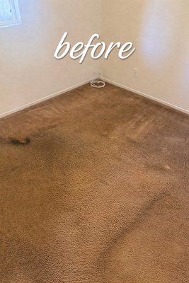 Deep cleaning for a bathroom and a bedroom with shampoo treatment for carpet. - We don’t just clean — we restore your bathroom to a hygienic, fresh, and spotless condition.
We focus on the areas most companies skip — edges, buildup zones, and hidden grime. Deep cleaning for a bathroom and a bedroom with shampoo treatment for carpet. - We don’t just clean — we restore your bathroom to a hygienic, fresh, and spotless condition.
We focus on the areas most companies skip — edges, buildup zones, and hidden grime.