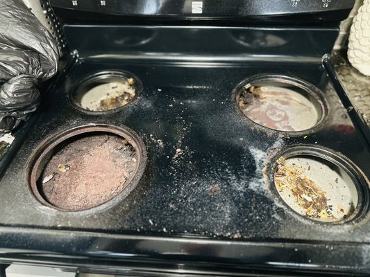 Stove and oven in very poor condition - A black kitchen in very poor condition—but we'll do the best we can. Stove and oven in very poor condition - A black kitchen in very poor condition—but we'll do the best we can.