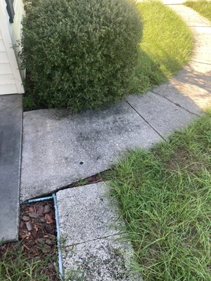 Front home pressure wash & algae removal. - This job was the whole front of the home, and needed algae removal and a heavy pressure wash from the front sidewalk/walkway to the front siding of the home, as well as a heavy pressure wash of the front tile accent. This job was completed within 2 1/2 hours and the customer was very happy with the job. $150.00