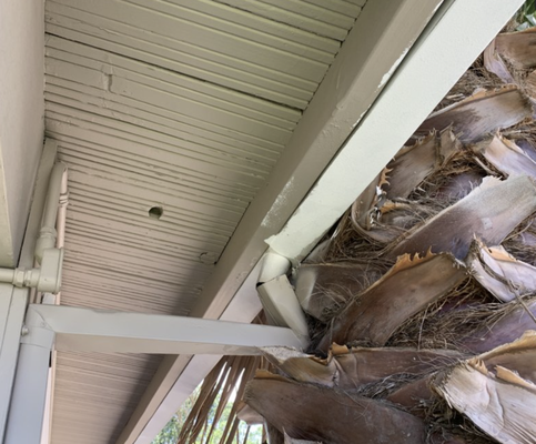 Emergency Tree Services - We can't always predict what will happen around our home, we are here to help with tree emergencies. Call or message us today! Emergency Tree Services - We can't always predict what will happen around our home, we are here to help with tree emergencies. Call or message us today!