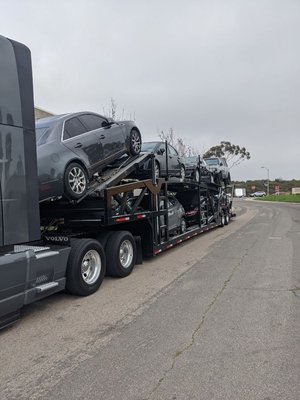 Nationwide car shipping - Need car shipping today?
Military move?
Previous car shipping company bailed on you?
Need guaranteed pick up from San Diego, Orange County, Los Angeles?
You are covered with our all inclusive car shipping rate. You call us, we will make your move seamless. Nationwide car shipping - Need car shipping today?
Military move?
Previous car shipping company bailed on you?
Need guaranteed pick up from San Diego, Orange County, Los Angeles?
You are covered with our all inclusive car shipping rate. You call us, we will make your move seamless.