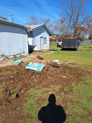 Oak Tree Removal - Helped client with Fallen Oak tree, which knocked down the power lines. Oak Tree Removal - Helped client with Fallen Oak tree, which knocked down the power lines.