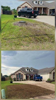 stump grinding and root excavation - Stump grinding and root excavation