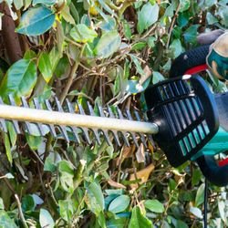 Tree Trimming - Trimming and pruning your trees at the proper time of the year is important to the health of your trees. Knowing which season is best for the different types of trees, you can avoid certain disease and physiological problems that can arise from improper timing of the trimming process.
Not only is the season in which you trim your trees important, but the way that you cut them, and the location of the cut, is also a vital process in the proper maintaining of their health. If you make the cuts in the wrong place, it can lead to disease pathogens and destructive insects infestation.
Dallas Tree Pros can help you maintain the health of your trees and provide all of your Dallas tree trimming needs. Let our trained experts and professionals assist you in every aspect of the tree trimming process. Tree Trimming - Trimming and pruning your trees at the proper time of the year is important to the health of your trees. Knowing which season is best for the different types of trees, you can avoid certain disease and physiological problems that can arise from improper timing of the trimming process.
Not only is the season in which you trim your trees important, but the way that you cut them, and the location of the cut, is also a vital process in the proper maintaining of their health. If you make the cuts in the wrong place, it can lead to disease pathogens and destructive insects infestation.
Dallas Tree Pros can help you maintain the health of your trees and provide all of your Dallas tree trimming needs. Let our trained experts and professionals assist you in every aspect of the tree trimming process.