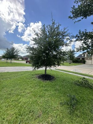 Front yard makeover - We completely transformed this front yard! We trimmed 2 Oak trees and removed old river rocks and installed limestone gravel. Front yard makeover - We completely transformed this front yard! We trimmed 2 Oak trees and removed old river rocks and installed limestone gravel.