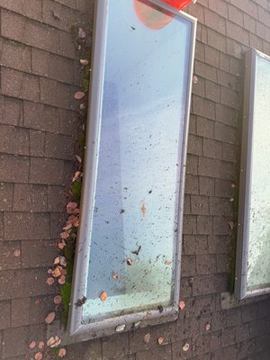 Skylight window cleaning - Skylight window cleaning before and after Skylight window cleaning - Skylight window cleaning before and after