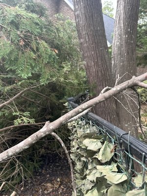 Hurricane - Hurricane damage. We can handle large trees with complicated removal Hurricane - Hurricane damage. We can handle large trees with complicated removal