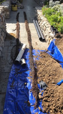 Area drain ( land scape drains) yard drains - This is an outside area drain line that was completely clogged with roots. We located the exact section we couldn’t get passed and dug it up, here’s why the property wouldn’t drain when heavy rains hit.
