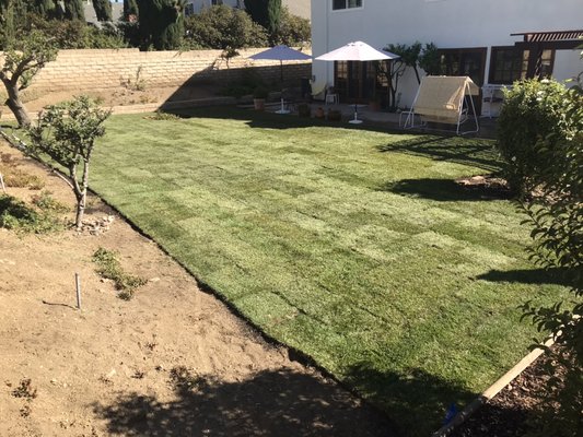 Sod Installation October 9th, 2021 - This sod installation only took 2 days and the homeowner fell in love with the new look of her backyard!