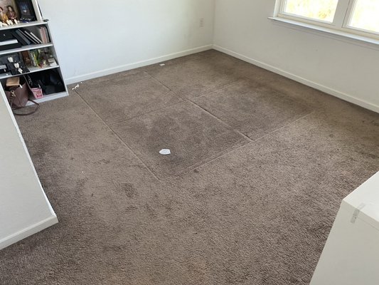 Bedroom carpet pet stains - Client husband and wife with 2dogs. Pet stained carpet and heavy traffic tracks in master bedroom. Bedroom carpet pet stains - Client husband and wife with 2dogs. Pet stained carpet and heavy traffic tracks in master bedroom.