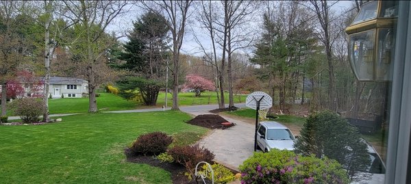 140 chelmsford - Grass maintenance