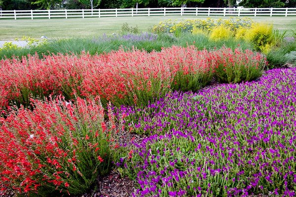 Landscape Services - Once we have your initial direction, we’ll create a detailed plan that addresses budgets, timelines and finer details. From there, we’ll begin building your dream outdoor space.