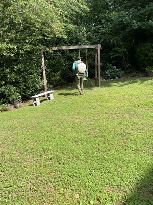 Lawn creation - Unsightly weed lawn was replaced with perfect Zeon Zoysia sod and brushes trimmed in one day!