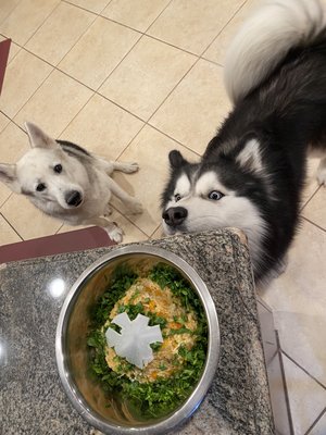 Pet Meals - If you want to bring healthy, chef-made meals to your pets, call us and we’ll get your furry friend set up with their own custom meal prep! Quality food made from quality ingredients is the key to making sure our loved ones live a long healthy life. Pet Meals - If you want to bring healthy, chef-made meals to your pets, call us and we’ll get your furry friend set up with their own custom meal prep! Quality food made from quality ingredients is the key to making sure our loved ones live a long healthy life.