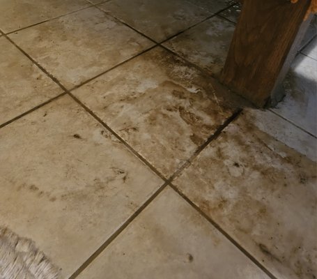 Tile & Grout Cleaning - Bring back the sparkle to your floors, showers, and countertops with our professional tile and grout cleaning services! We use powerful, safe cleaning solutions and advanced equipment to remove stubborn dirt, stains, and mold, leaving your tile surfaces looking fresh and revitalized. Our experienced team pays attention to every detail, restoring the beauty and hygiene of your space—without the hassle. Tile & Grout Cleaning - Bring back the sparkle to your floors, showers, and countertops with our professional tile and grout cleaning services! We use powerful, safe cleaning solutions and advanced equipment to remove stubborn dirt, stains, and mold, leaving your tile surfaces looking fresh and revitalized. Our experienced team pays attention to every detail, restoring the beauty and hygiene of your space—without the hassle.