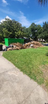 tree clean up - a large amount of trees were cut down and brought to the street we were called to remove the debris tree clean up - a large amount of trees were cut down and brought to the street we were called to remove the debris