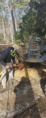 Air Spade Transplanting - Call us today for a consultation of your tree care services needs!