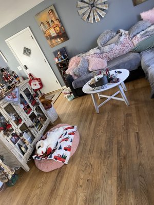 Christmas house cleaning! - Holiday decorations set up and clean.