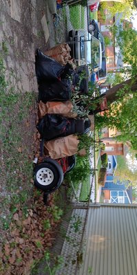 lawn service of 2022 - This is my backyard clean-outs