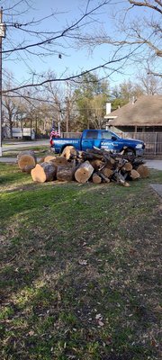 Trimming Trees - Tree trimming (pruning), planting, and removal - no project too large or too small for us. Anywhere in North/East Texas. Residential, commercial, municipal, county, farm and ranch projects. Trimming Trees - Tree trimming (pruning), planting, and removal - no project too large or too small for us. Anywhere in North/East Texas. Residential, commercial, municipal, county, farm and ranch projects.