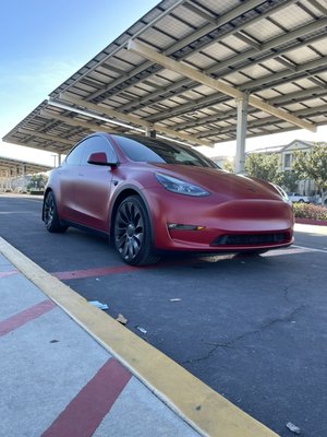 GSWF SATIN PPF ON MODEY Y - Model Y in GSWF satin PPF GSWF SATIN PPF ON MODEY Y - Model Y in GSWF satin PPF