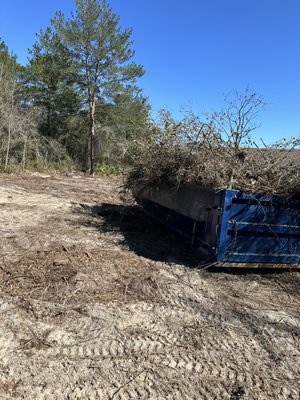 Residential Land Clearing - This residential  land clearing project was for my client who I had just met and was referred to by a colleague. This project was approximately 1 acre in size with several oaks and thick brush throughout the space.
