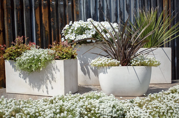 Outdoor Pottery - Outdoor, ceramic pottery is a key element to any properly designed outdoor space. The Pottery House carries an expansive selection of ceramic pots for any outdoor design style or application. Outdoor Pottery - Outdoor, ceramic pottery is a key element to any properly designed outdoor space. The Pottery House carries an expansive selection of ceramic pots for any outdoor design style or application.
