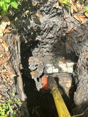 2” valve broken and tied up by roots - valve completely tied up with roots that managed to break it, it was hard work to remove the roots and get the right area to replace, but the job is always guaranteed in the end.