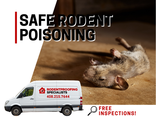 Safe & Effective Rodent Poison Services - Safe & Effective Rodent Poison Services