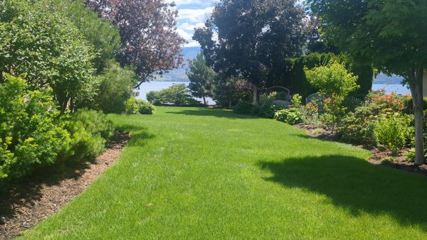 Lawn Fertilization - Arcadia’s lawn fertilization program is designed to deliver balanced nutrition that promotes vibrant, resilient turf. Tailored for the Okanagan’s specific soil and climate needs, our program provides a custom mix of nutrients at optimal times throughout the growing season. By addressing soil health and strengthening root systems, we help your lawn stay lush, green, and resistant to drought, pests, and diseases. With Arcadia’s expertise, you can expect sustained, healthy growth that enhances the beauty and durability of your lawn year-round.