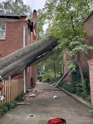 Emergency tree Removal - When an unexpected tree falls or storm damage threatens your property, immediate action is essential. Our emergency tree removal services provide 24/7 rapid response to safely and efficiently remove hazardous trees. Our experienced team is equipped to handle any emergency, protecting your property and loved ones. Trust us for quick, professional, and reliable tree removal in urgent situations.