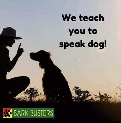 Same-Day Improvement Any Age, Breed, Issue! - You can expect an immediate improvement in your dog's behaviors on the first day we come out. This is because we know how to identify the true, root causes of behavior problems and how to communicate clearly in a dog-friendly way. Same-Day Improvement Any Age, Breed, Issue! - You can expect an immediate improvement in your dog's behaviors on the first day we come out. This is because we know how to identify the true, root causes of behavior problems and how to communicate clearly in a dog-friendly way.