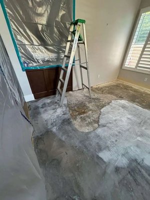 Expert Residential Water Damage Restoration in San Diego, CA - This residential water damage restoration project in San Diego focused on helping a homeowner recover after unexpected water intrusion affected key areas of their home. Our team managed every aspect of the cleanup with precision, safety, and clear communication.
► Protecting the Home’s Interior from Long-Term Damage
Water damage can cause lasting problems if not addressed properly. In this project, we took proactive steps to safeguard the structural elements, finishes, and subflooring of the home from long-term issues. Using strict moisture level monitoring and controlled drying techniques, we helped prevent future complications like warping, mildew, or rot. Our approach provided the homeowner with peace of mind, knowing their property was secure and safe from future damage.
► Clean and Contained Work Area with Safety at the Forefront
To prevent moisture and contaminants from spreading to unaffected areas of the home, our team sealed off all impacted sections. Throughout the restoration process, we used HEPA-filtered air scrubbers to maintain air quality. Safety is our top priority, not just for our team, but for the families we serve. Each restoration project is handled with the highest level of care and containment.
► Final Walkthrough and Client Confidence
Once the drying and cleanup were complete, we conducted a final walkthrough with the homeowner to explain the process, address any questions, and review the results. Transparent communication is just as crucial as expert restoration services. By keeping our client informed and involved, we turned a stressful situation into one marked by clarity and confidence.
► Trust the Experts to Restore Your Home
When water damage occurs, quick fixes aren’t enough, you need lasting results. White Glove Restoration offers professional residential water restoration services backed by years of experience, safety protocols, and clear communication. Contact us at (619) 486-3012 or click here for a free consultation! Ask us about our Medically Important Restoration Certificate to ensure your home meets the highest health standards. Expert Residential Water Damage Restoration in San Diego, CA - This residential water damage restoration project in San Diego focused on helping a homeowner recover after unexpected water intrusion affected key areas of their home. Our team managed every aspect of the cleanup with precision, safety, and clear communication.
► Protecting the Home’s Interior from Long-Term Damage
Water damage can cause lasting problems if not addressed properly. In this project, we took proactive steps to safeguard the structural elements, finishes, and subflooring of the home from long-term issues. Using strict moisture level monitoring and controlled drying techniques, we helped prevent future complications like warping, mildew, or rot. Our approach provided the homeowner with peace of mind, knowing their property was secure and safe from future damage.
► Clean and Contained Work Area with Safety at the Forefront
To prevent moisture and contaminants from spreading to unaffected areas of the home, our team sealed off all impacted sections. Throughout the restoration process, we used HEPA-filtered air scrubbers to maintain air quality. Safety is our top priority, not just for our team, but for the families we serve. Each restoration project is handled with the highest level of care and containment.
► Final Walkthrough and Client Confidence
Once the drying and cleanup were complete, we conducted a final walkthrough with the homeowner to explain the process, address any questions, and review the results. Transparent communication is just as crucial as expert restoration services. By keeping our client informed and involved, we turned a stressful situation into one marked by clarity and confidence.
► Trust the Experts to Restore Your Home
When water damage occurs, quick fixes aren’t enough, you need lasting results. White Glove Restoration offers professional residential water restoration services backed by years of experience, safety protocols, and clear communication. Contact us at (619) 486-3012 or click here for a free consultation! Ask us about our Medically Important Restoration Certificate to ensure your home meets the highest health standards.