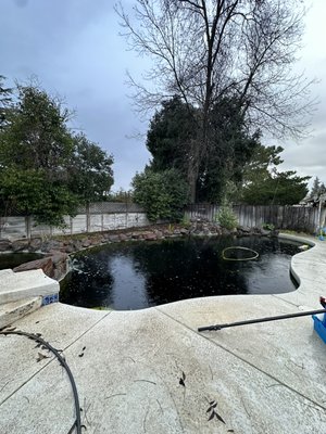 From Black to Blue: Extreme Pool Cleaning Transformation - At Sharky Express Pool Service, we take on the toughest pool challenges—including pools with black, brackish water that seem beyond saving. Recently, we transformed a completely neglected pool, restoring it from dark, murky black to clear, swimmable blue.
Our expert cleaning process involved deep vacuuming, chemical balancing, and thorough filtration system maintenance, ensuring that the water was safe, clean, and crystal clear. Whether your pool needs regular maintenance or a complete revival, we have the experience and dedication to bring it back to life!
📞 Call us today and let us handle your toughest pool cleaning needs! From Black to Blue: Extreme Pool Cleaning Transformation - At Sharky Express Pool Service, we take on the toughest pool challenges—including pools with black, brackish water that seem beyond saving. Recently, we transformed a completely neglected pool, restoring it from dark, murky black to clear, swimmable blue.
Our expert cleaning process involved deep vacuuming, chemical balancing, and thorough filtration system maintenance, ensuring that the water was safe, clean, and crystal clear. Whether your pool needs regular maintenance or a complete revival, we have the experience and dedication to bring it back to life!
📞 Call us today and let us handle your toughest pool cleaning needs!