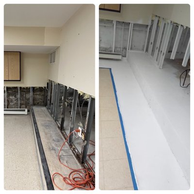 GreenRoom - Mold Remediation GreenRoom - Mold Remediation