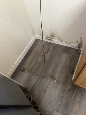 Move out cleaning - Move-in/move out DEEP cleaning Move out cleaning - Move-in/move out DEEP cleaning