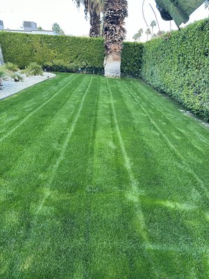 Landscaping and maintenance at its finest!! Call for you free estimate today - CALL TODAY TO GET A EXQUISITE PRICE ON YOUR DREAM OUTDOOR ADVENTURE Landscaping and maintenance at its finest!! Call for you free estimate today - CALL TODAY TO GET A EXQUISITE PRICE ON YOUR DREAM OUTDOOR ADVENTURE