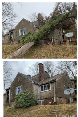 Tree Removal - Removed unwanted trees for home owners. Tree Removal - Removed unwanted trees for home owners.