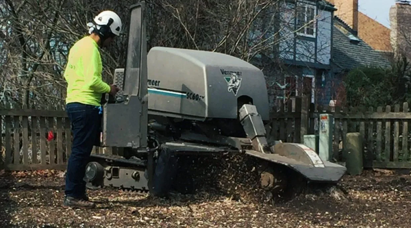 🏡 Stump Grinding - Say goodbye to unsightly tree stumps with our specialized stump grinding services. Using professional equipment, we quickly and thoroughly remove stumps for homeowners and commercial clients, restoring curb appeal and safety to every outdoor space.