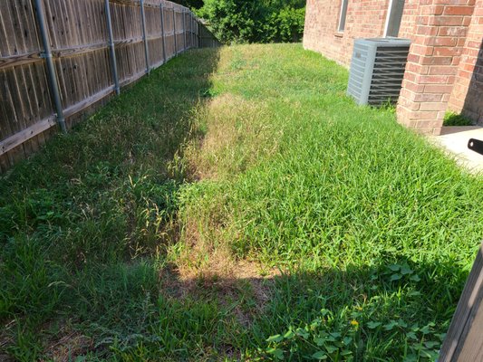 Lawn maintenance on long overdue property. - This was the first property we have done when the business first started. The lawn wasn't cut for 2 months, the renters was away on vacation. They contact us to handle their problem, and handled their problem we did. Lawn maintenance on long overdue property. - This was the first property we have done when the business first started. The lawn wasn't cut for 2 months, the renters was away on vacation. They contact us to handle their problem, and handled their problem we did.