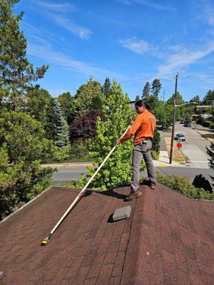 Signature Annual Maintenance - Annual roof and gutter maintenance. Blow the roof and remove and loose debris, clean out the gutters and flush downspouts. Ensure the gutters and downspouts are running freely. Inspect the roof for any damage and advise customer and office if present. Lay Zinc Sulfate chemical treatment to prevent any rapid re-growth of moss. Prices for any home under 3000 ft.². If your home is larger, you will need to call the office for an estimate. Signature Annual Maintenance - Annual roof and gutter maintenance. Blow the roof and remove and loose debris, clean out the gutters and flush downspouts. Ensure the gutters and downspouts are running freely. Inspect the roof for any damage and advise customer and office if present. Lay Zinc Sulfate chemical treatment to prevent any rapid re-growth of moss. Prices for any home under 3000 ft.². If your home is larger, you will need to call the office for an estimate.