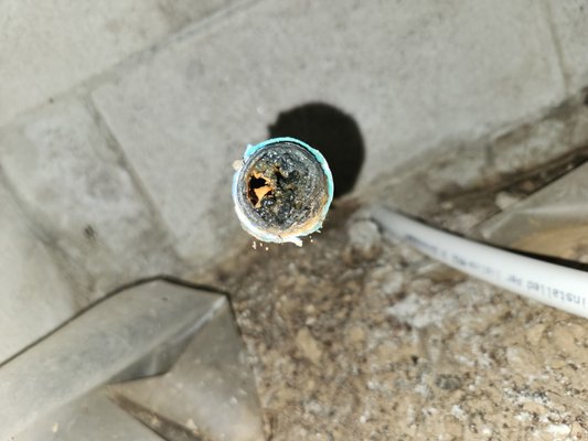 New Main water line - Do you have low pressure? 
 Galvanized is an outdated material for water lines and can cause problems such as low pressure and traveling debris. We replace this piping with the best quality PEX piping and provide a lifetime guarantee on this piping. 
Give us a call for a free estimate.